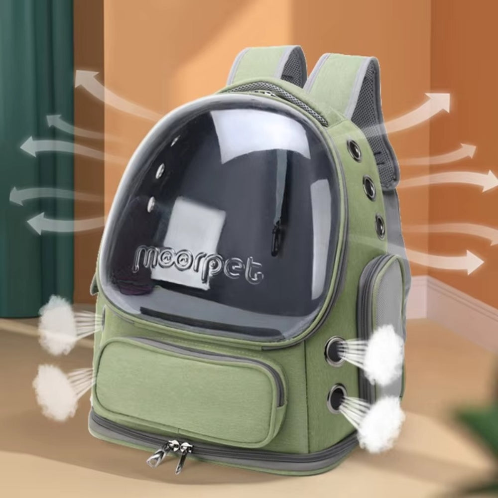 Portable Pet Carrier for Cats and Small Dogs
