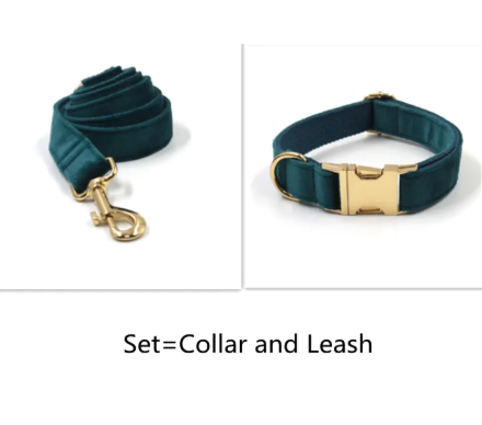 Velvet Gold Buckle Pet Collar & Leash Set