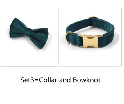 Velvet Gold Buckle Pet Collar & Leash Set