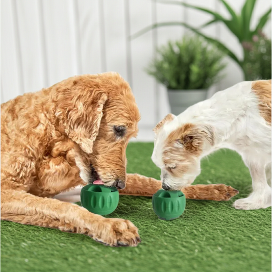 Dog Silicone Slow Feeder