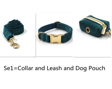 Velvet Gold Buckle Pet Collar & Leash Set