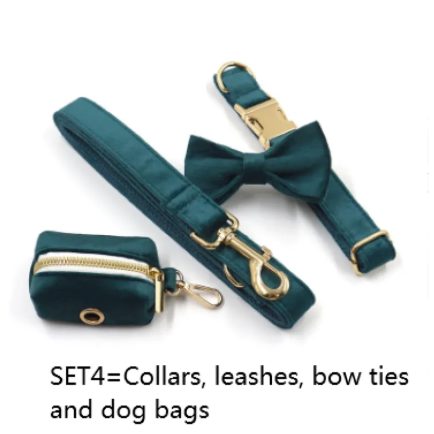 Velvet Gold Buckle Pet Collar & Leash Set