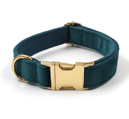 Velvet Gold Buckle Pet Collar & Leash Set