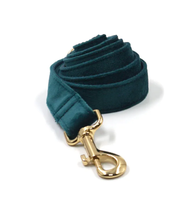 Velvet Gold Buckle Pet Collar & Leash Set