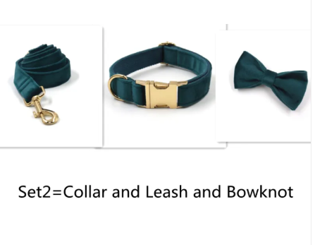 Velvet Gold Buckle Pet Collar & Leash Set